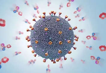 کشف آنتی بادی موثر در برابر گونه های مختلف کرونا