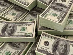 حذف دلار از اقتصاد ایران شدنی نیست