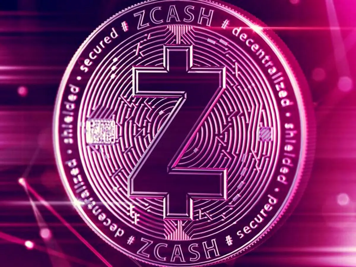 قیمت زی کش ۲۹ درصد بالا رفت
