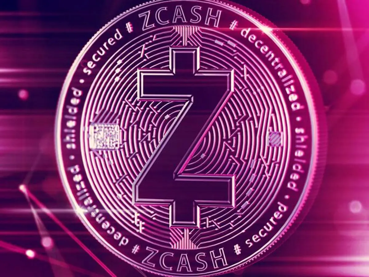 قیمت زی کش ۲۹ درصد بالا رفت