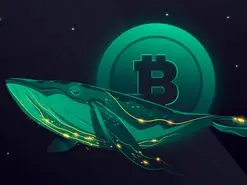 جمع‌آوری نهنگ‌ها، دلیل اصلی رکوردشکنی بیت کوین