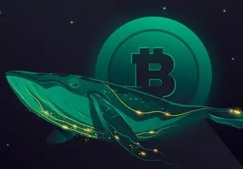 جمع‌آوری نهنگ‌ها، دلیل اصلی رکوردشکنی بیت کوین