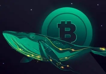 جمع‌آوری نهنگ‌ها، دلیل اصلی رکوردشکنی بیت کوین