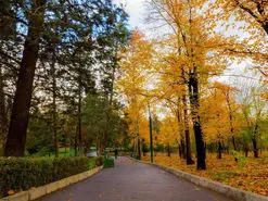 قشنگ ترین پارک تهران کجاست؟