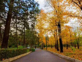 قشنگ ترین پارک تهران کجاست؟
