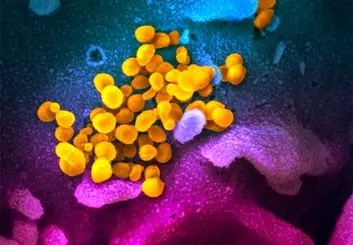 با سرعت سرایت ۵۰۰ برابری امیکرون کرونا چه کنیم؟