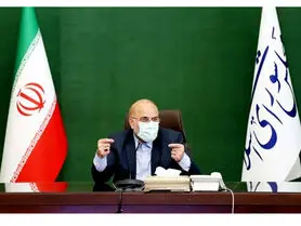 قالیباف برگشت خوردن طرح صیانت را چگونه ارزیابی کرد؟