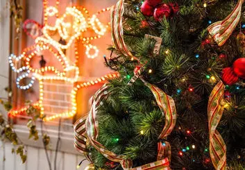 قیمت درخت کریسمس و لوازم جانبی آن در ایران چقدر است؟