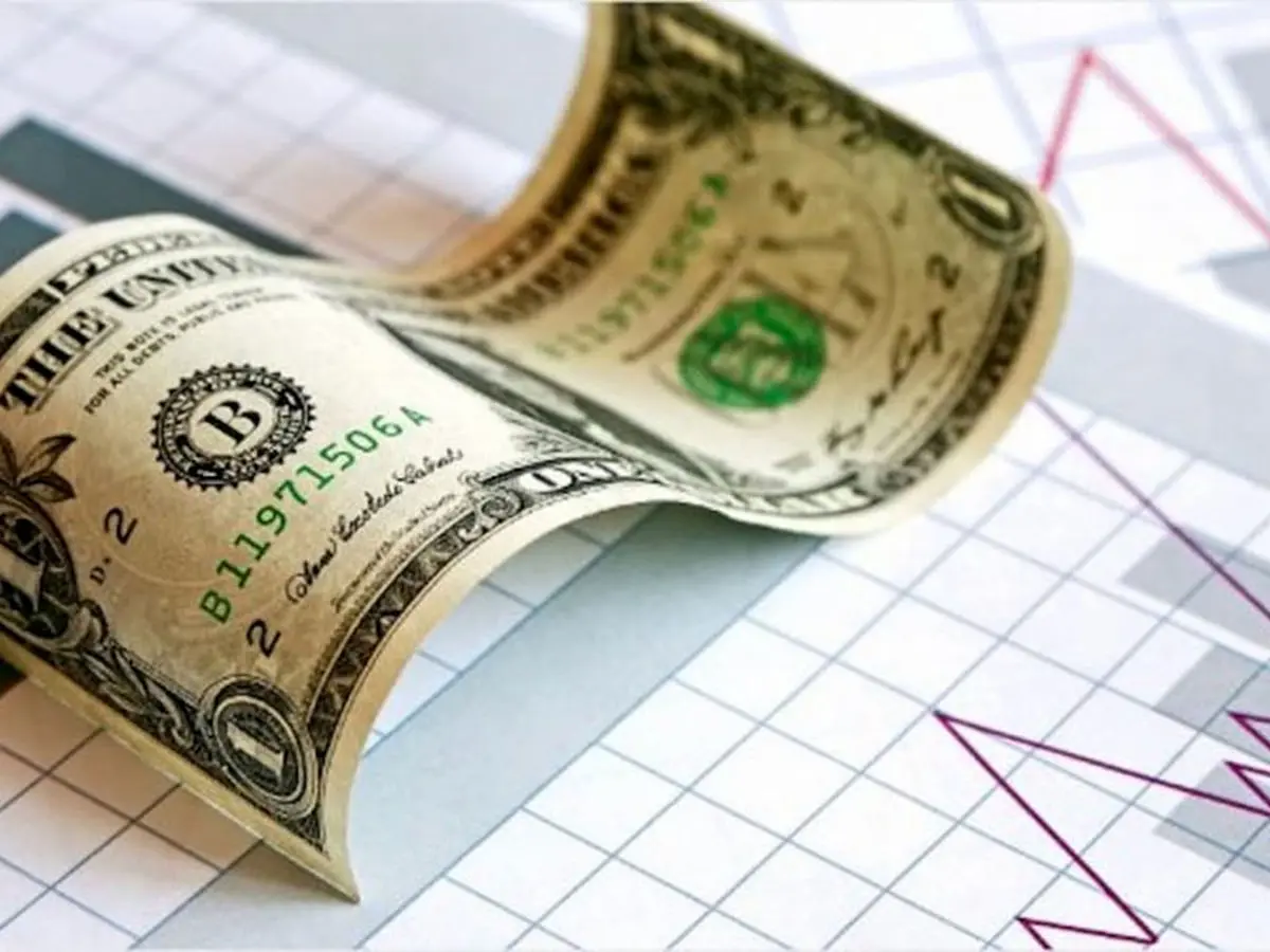 وزیر اقتصاد نوع اجرای حذف ارز ۴۲۰۰ را «تدریجی» اعلام کرد