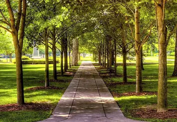 معرفی بهترین مکان برای پیاده ‌روی در تهران