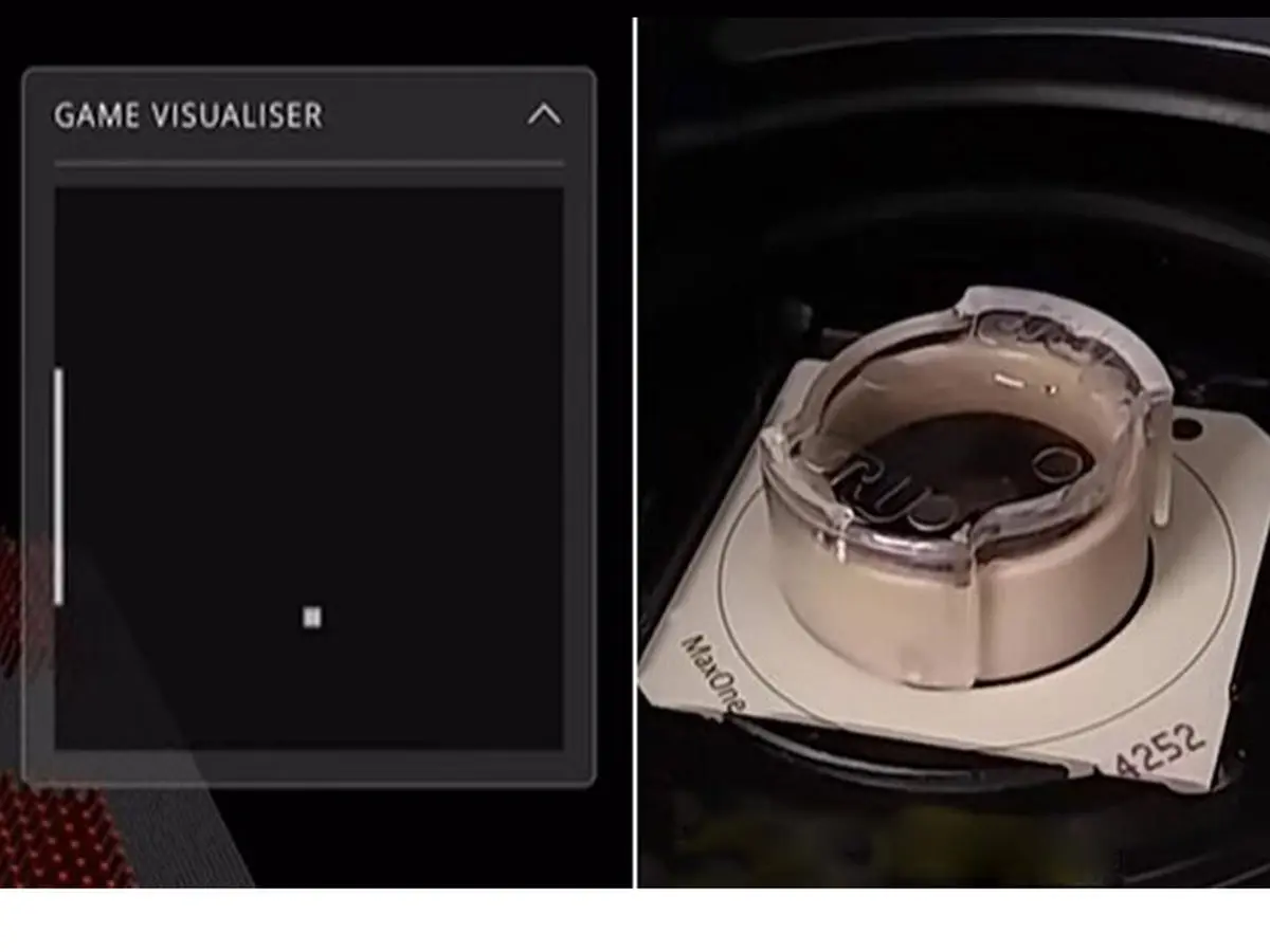 مغز انسان در ظرف آزمایشگاه بازی رایانه‌ای انجام داد!