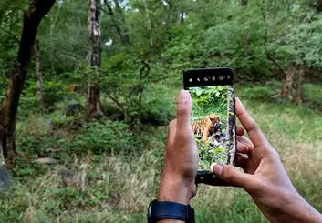 تصویربرداری نزدیک از زندگی ببرها با گلکسی S21 Ultra