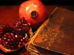 فلسفه شب یلدا چیست؟ | نگاهی به ریشه آخرین شب پاییز