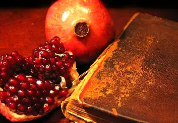 فلسفه شب یلدا چیست؟ | نگاهی به ریشه آخرین شب پاییز