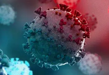 شناسایی ابتلا به امیکرون در مشهد | تعداد مبتلایان کشور به ۸ رسید