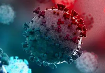 شناسایی ابتلا به امیکرون در مشهد | تعداد مبتلایان کشور به ۸ رسید