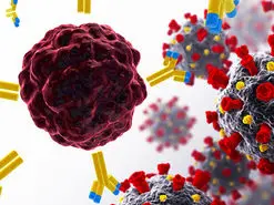 چه سنینی بیشتر گرفتار امیکرون می‌شوند؟