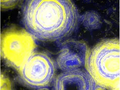 وقتی با باکتری‌ها تابلوی «شب پرستاره» ونگوگ بازآفرینی می‌شود