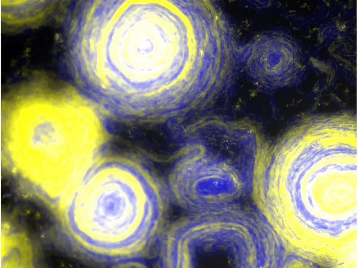 وقتی با باکتری‌ها تابلوی «شب پرستاره» ونگوگ بازآفرینی می‌شود