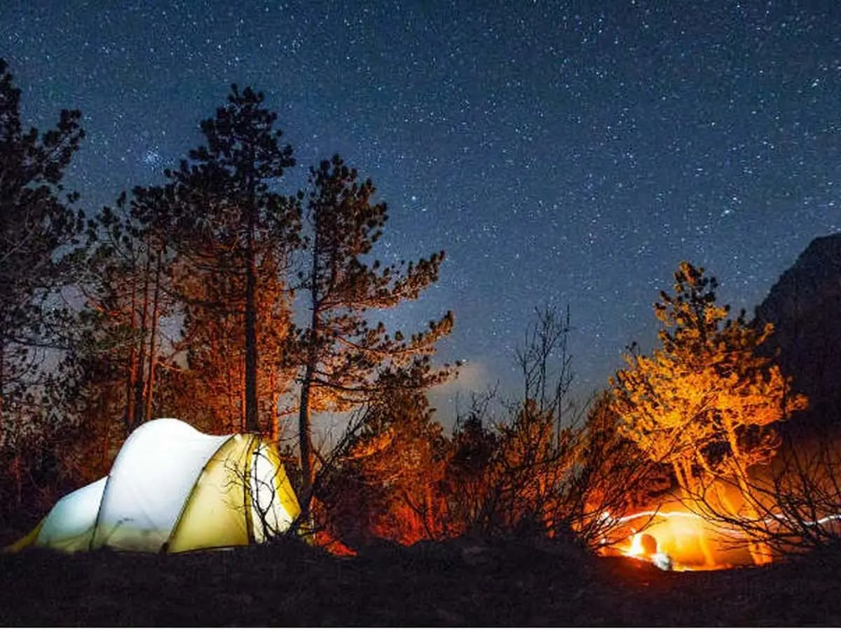 نکات مهم در کمپینگ جنگل که به کارتان می‌آید