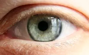 نابینایان بینایی خود را مجددا به دست خواهند آورد!