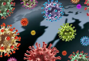 بی‌اشتهایی و حالت تهوع، 2 علامت جدید کرونا امیکرون