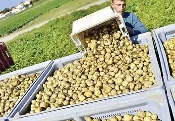 چرا محصولات کشاورزی ایران برگشت می‌خورد؟