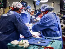 نخستین پیوند قلب خوک به انسان با موفقیت انجام شد