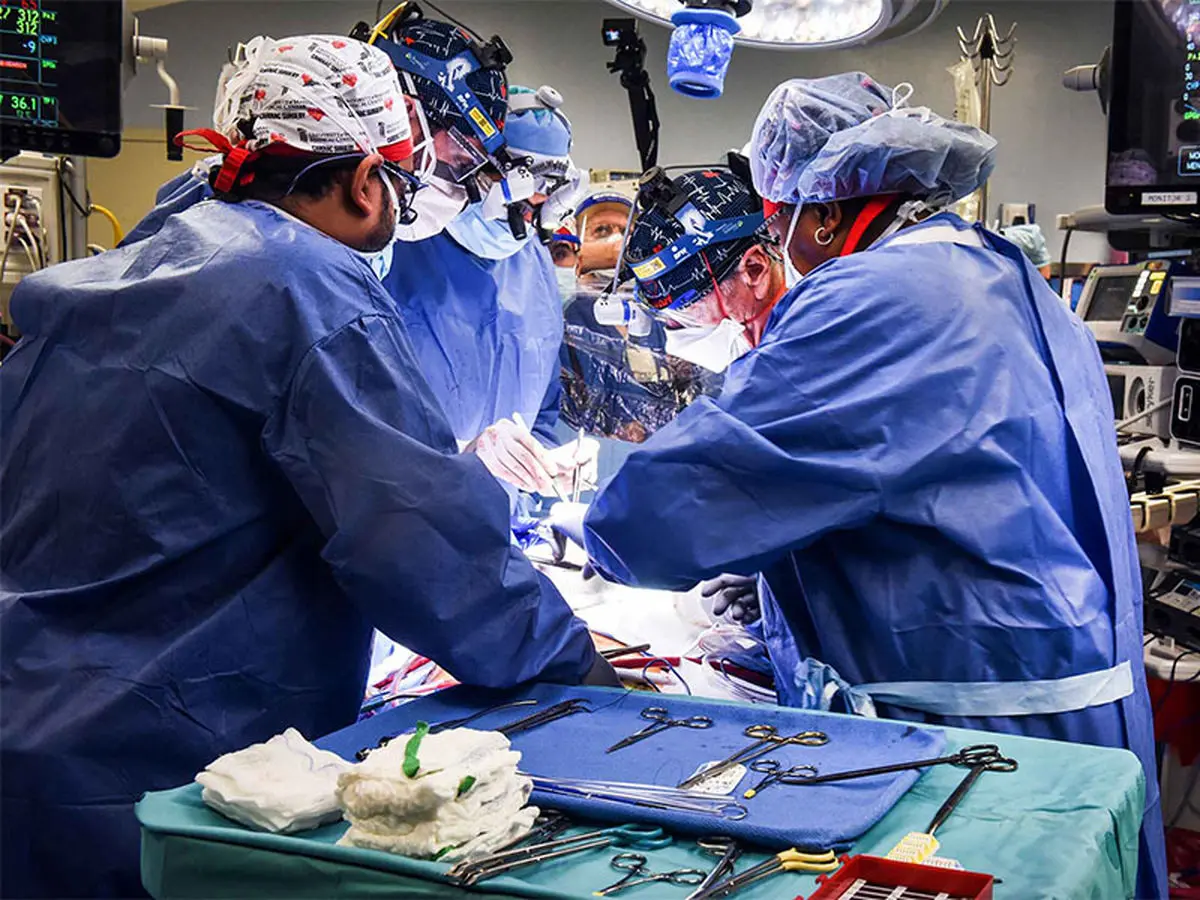 نخستین پیوند قلب خوک به انسان با موفقیت انجام شد