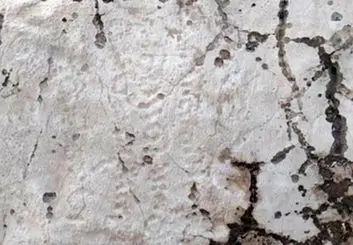 نام زرتشت روی کتیبه باستانی خبرساز شد