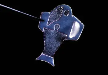 ساخت ماهی بیوهیبریدی از سلول های قلب انسان