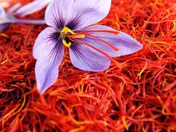 هشدار در مورد از دست دادن بازار جهانی زعفران