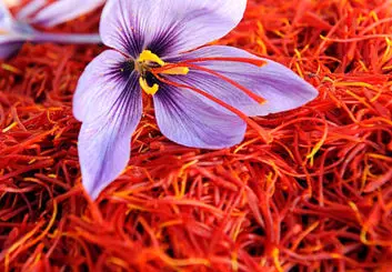 هشدار در مورد از دست دادن بازار جهانی زعفران