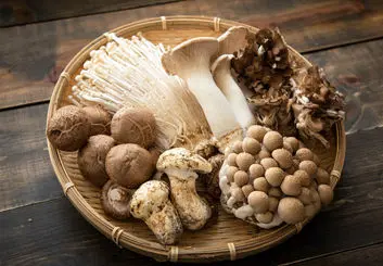 کاهش سرعت پیری با مصرف قارچ