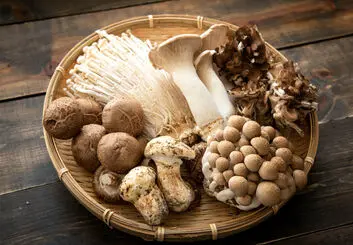 کاهش سرعت پیری با مصرف قارچ