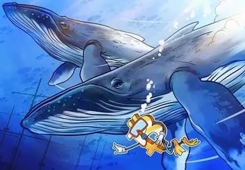 4 درصد از نهنگ‌های کریپتو خلاف‌کار هستند و جمعا 25 میلیارد دلار دارایی دارند