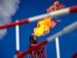 تکذیب شد | وجود ۵ هزار نیروی‌ امنیتی چین در ایران شایعه است