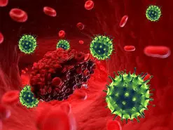 لختگی خون در بیماران کرونایی به سبب وجود آنتی‌بادی‌های سرکش