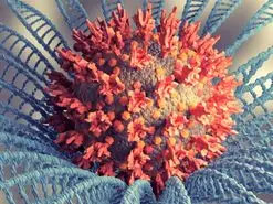 سرایت امیکرون در ۱۵ ثانیه | مبتلایان چگونه دیگران را آلوده می‌کنند؟