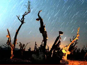 عجیب ترین جاهای دیدنی ایران که احتمالا نمی شناسید