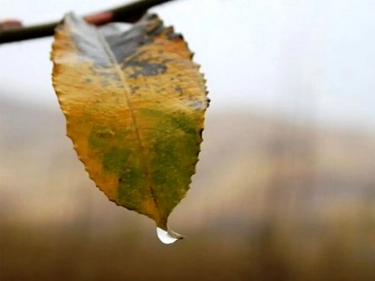 بهمن امسال، رکورد خشک‌ترین ماه زمستان را به نام خود کرد