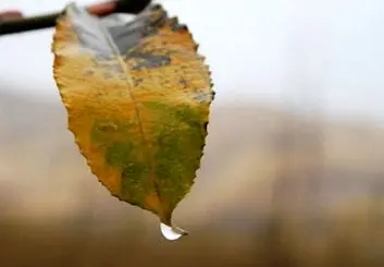 بهمن امسال، رکورد خشک‌ترین ماه زمستان را به نام خود کرد