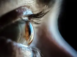 قدم جدیدی به سمت درمان نابینایی با شناسایی ژن SARM1