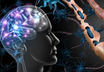 نوید درمان بیماری ام اس با کمک سلول‌های بنیادی