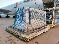 وزیر بهداشت علت برگرداندن واکسن‌های آسترازنکا به لهستان را توضیح داد