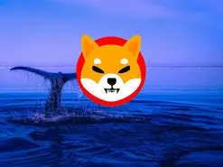 یک نهنگ اتریوم 442 میلیارد توکن شیبا اینو خرید