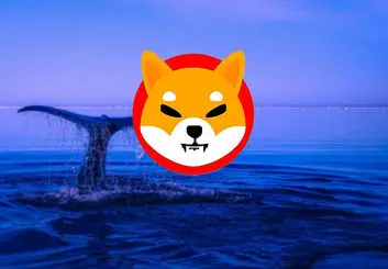 یک نهنگ اتریوم 442 میلیارد توکن شیبا اینو خرید