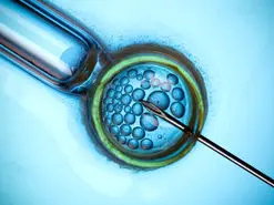 معکوس کردن فرآیند پیری تخمک | بارداری بالای ۴۰ سال افزایش می‌یابد؟