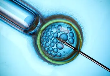 معکوس کردن فرآیند پیری تخمک | بارداری بالای ۴۰ سال افزایش می‌یابد؟