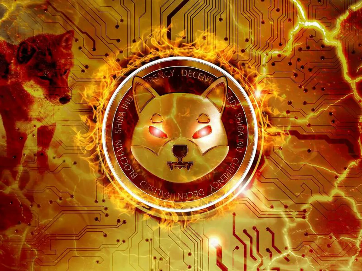 توکن سوزی گسترده شیبا اینو هنوز ادامه دارد